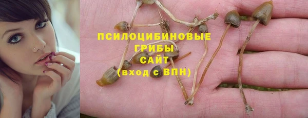 сатива Алексин