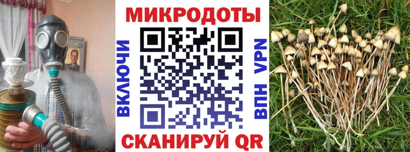 Галлюциногенные грибы MAGIC MUSHROOMS Островной
